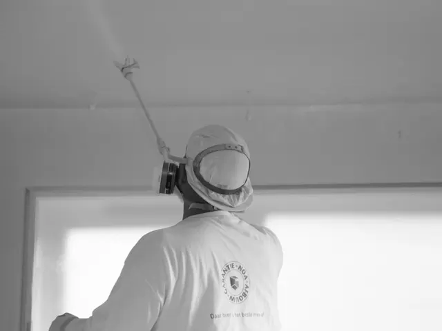 Spuitwerk van het plafond, in zwart-wit